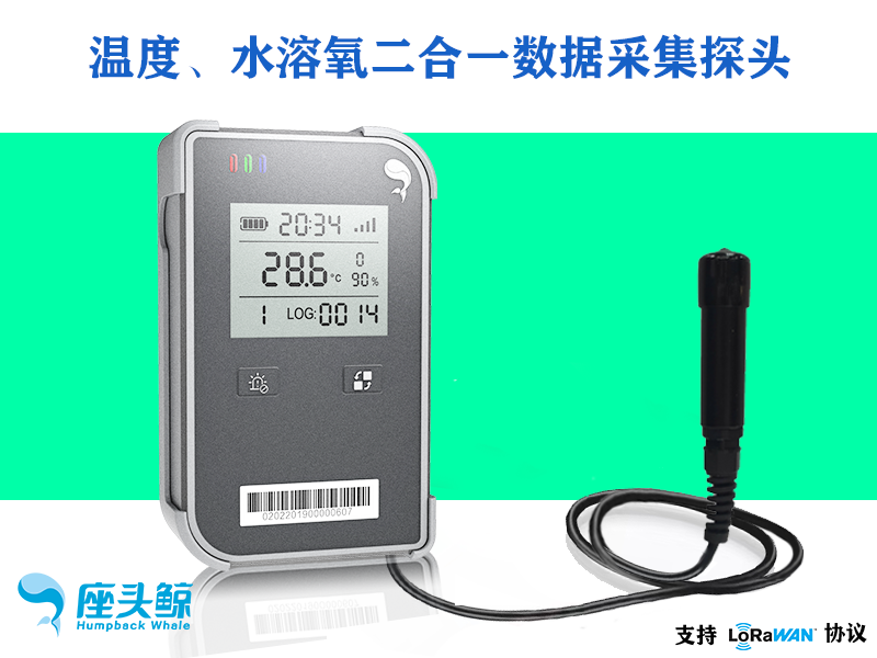 水溶氧溫度二合一可視鯨鏢系列數據采集傳感器