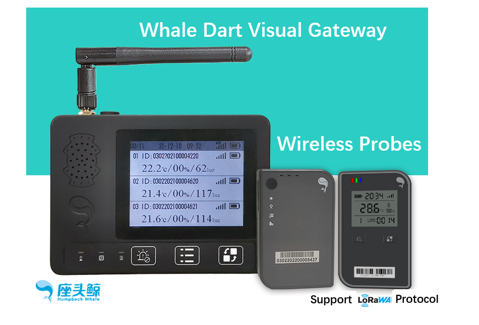 Whale Guard Series Intelligent Visual Wireless Gateway